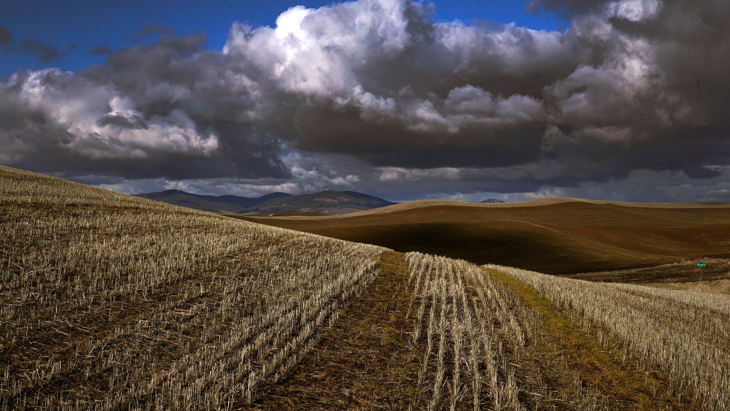 Fields under a cloudy sky