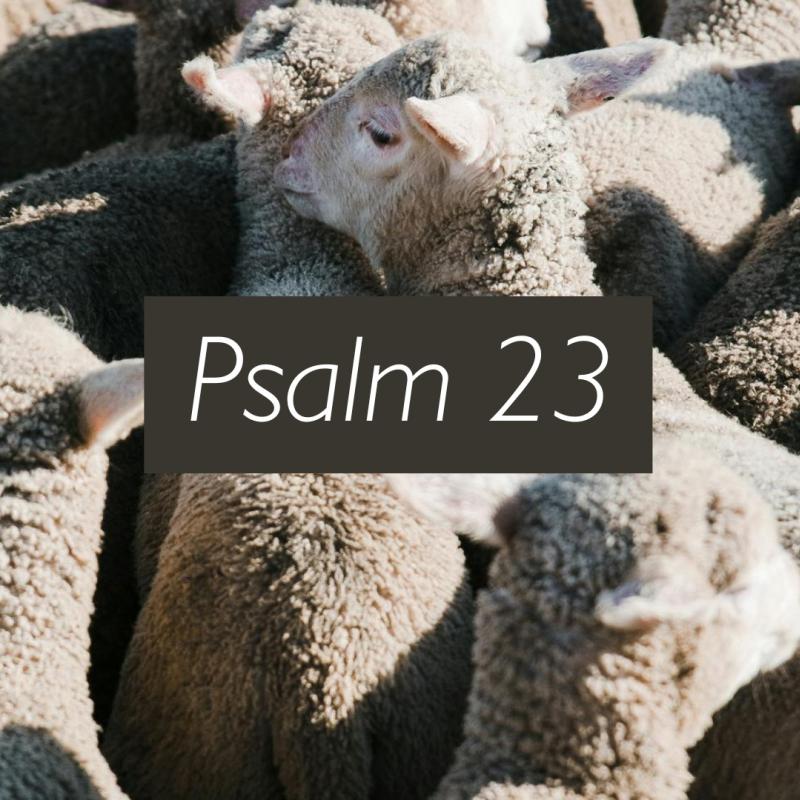Psalm 23