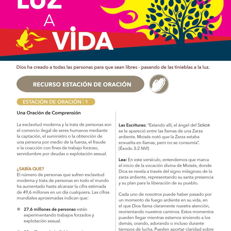 Luz a Vida - Recurso Estación de Oración